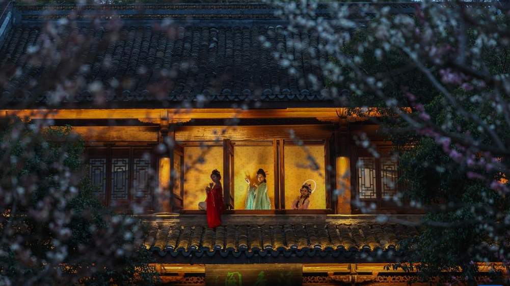 杭州赏梅胜地开启特色夜游赏梅活动