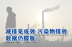 火電減排見成效 污染物排放數據仍朦朧
