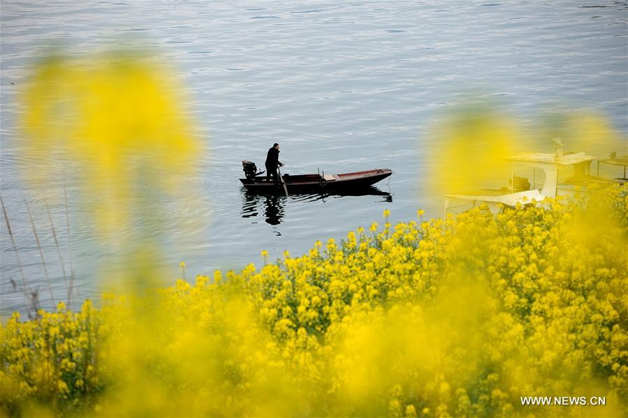 #CHINA-HUBEI-THREE GORGES-SCENERY (CN)