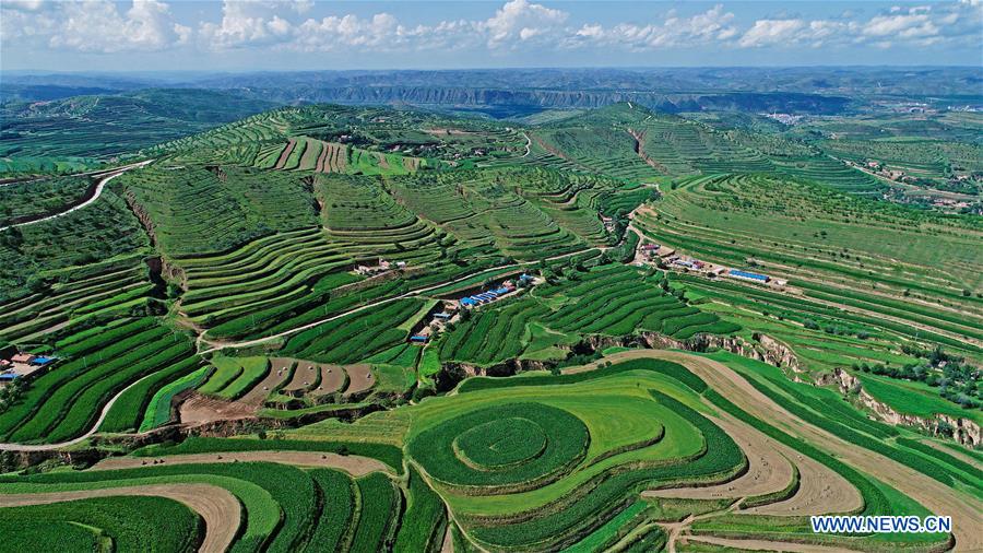 CHINA-NINGXIA-AERIAL PHOTO (CN)