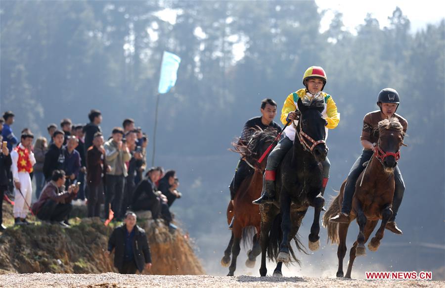 #CHINA-SPRING FESTIVAL-CELEBRATION-HORSE (CN)
