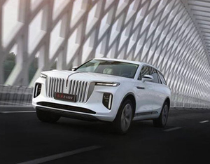 各美其美,美美與共——2020中國企業(yè)家博鰲論壇品牌品鑒交流會側記