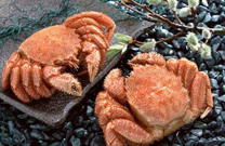 中秋團圓家宴必吃的15道應景菜(圖)