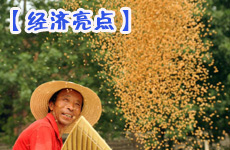 夏糧豐收 經(jīng)濟亮點提振信心