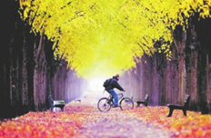 國家旅游局:旅游業(yè)向民間資本全方位開放