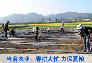 當前農業生產形勢:春耕大忙 力保夏糧