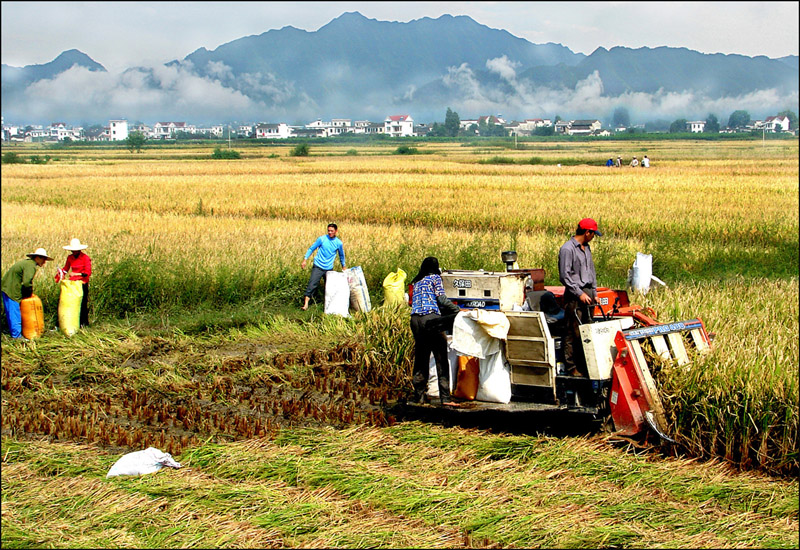堅(jiān)定自信書(shū)寫(xiě)中國(guó)傳奇