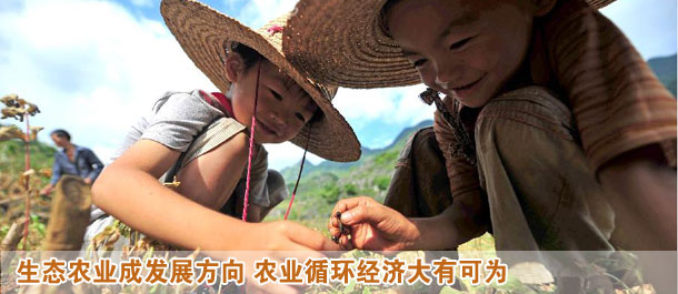生態(tài)農業(yè)變身高富帥 農業(yè)循環(huán)經(jīng)濟大有可為