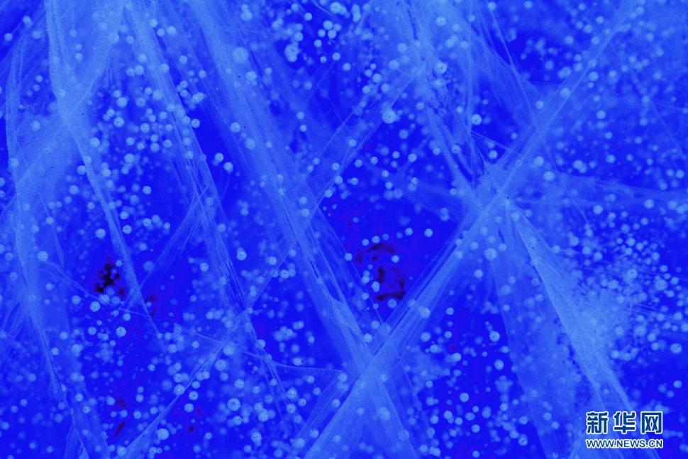 氣泡冰亮晶晶，藍精靈賽繁星