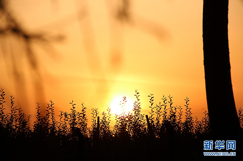 日落西山頭，人約黃昏后