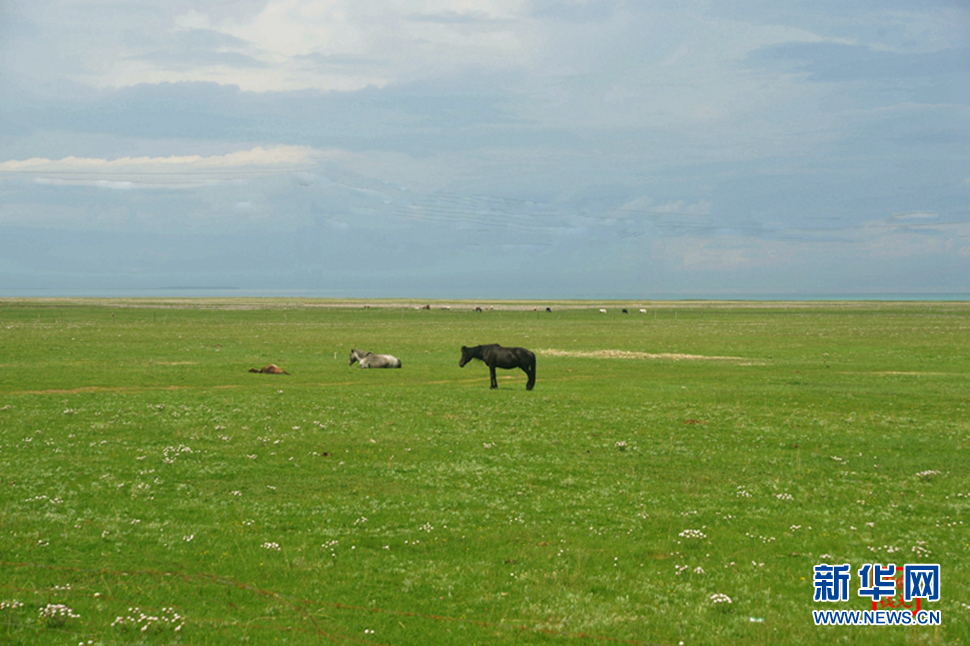 高原放歌之那山、那寺、那朵云