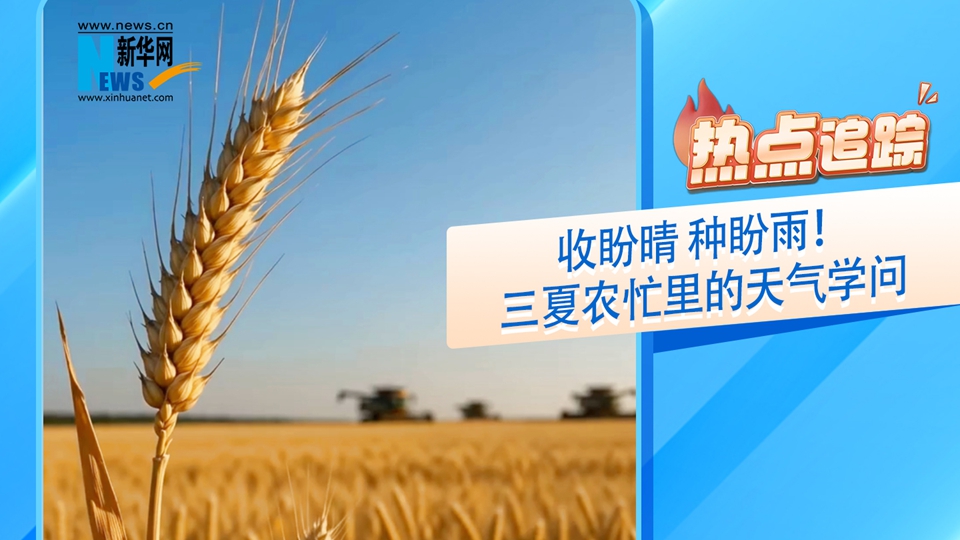 熱點(diǎn)追蹤丨收盼晴 種盼雨！三夏農(nóng)忙里的天氣學(xué)問(wèn)