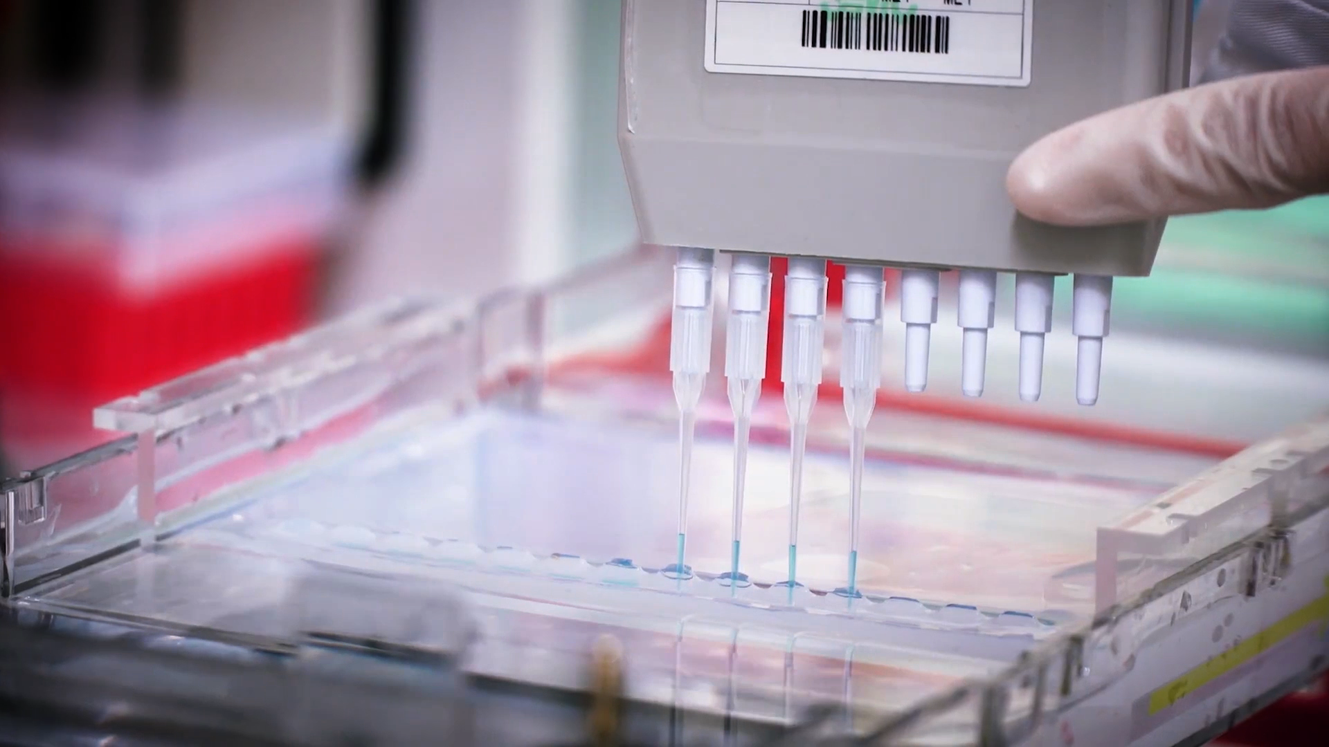 致敬偉大改革｜對(duì)話40年，講述身邊的健康故事32—打破醫(yī)學(xué)禁區(qū)，探尋生命奇跡