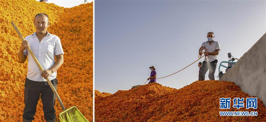 （脫貧攻堅&middot;圖片故事）（6）脫貧靠雙手&mdash;&mdash;新疆和田地區未摘帽縣就業見聞