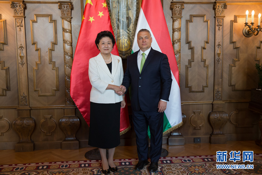  6月21日，國(guó)務(wù)院副總理劉延?xùn)|（左）在匈牙利布達(dá)佩斯國(guó)會(huì)大廈會(huì)見(jiàn)匈牙利總理歐爾班。 新華社發(fā)（弗爾季·奧蒂洛攝）