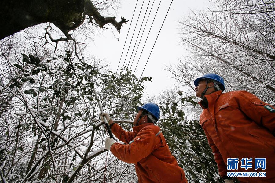（新華全媒頭條）（8）雨雪冰凍中，他們奮力前行——基層黨員干群抗擊冰雪災害紀實