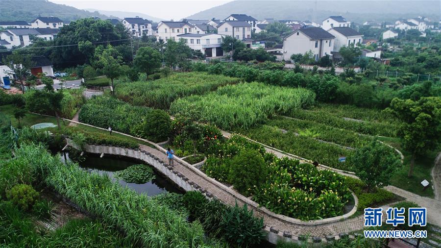 （在習近平新時代中國特色社會主義思想指引下——新時代新作為新篇章·圖文互動）（1）稀奇！治污濕地成了休閑公園——江蘇蘇州全域推進農村生活污水治理