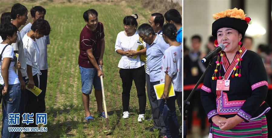 (兩會·影像鏈接)全國政協委員張敏:培養新型農民 助力脫貧攻堅
