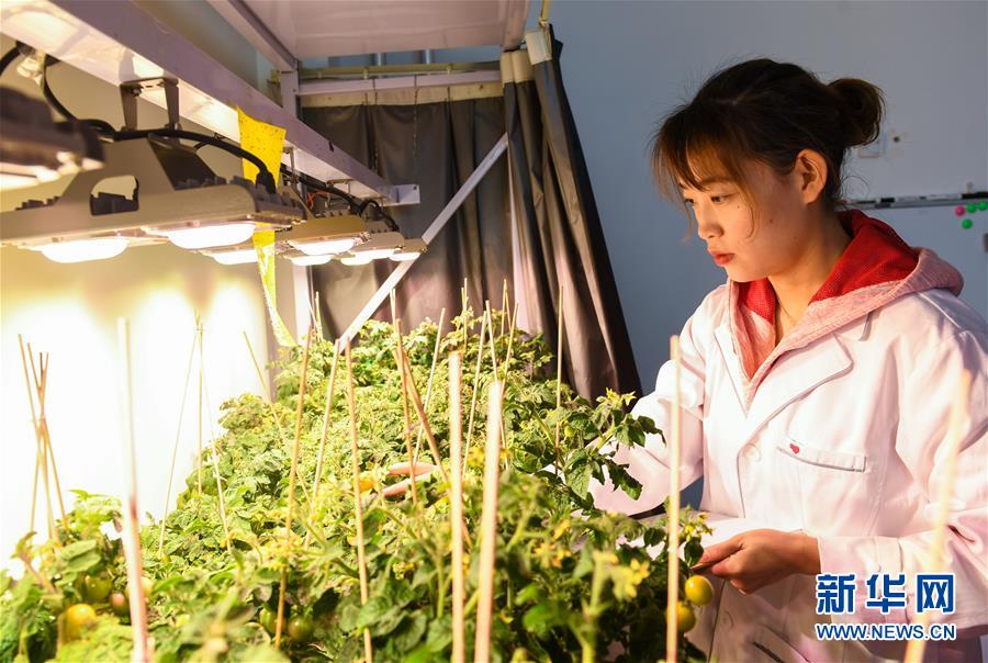 （兩會前夕看落實·圖文互動）（5）在高質量發(fā)展的探索中奮進——內(nèi)蒙古落實習近平總書記全國兩會重要講話精神紀實