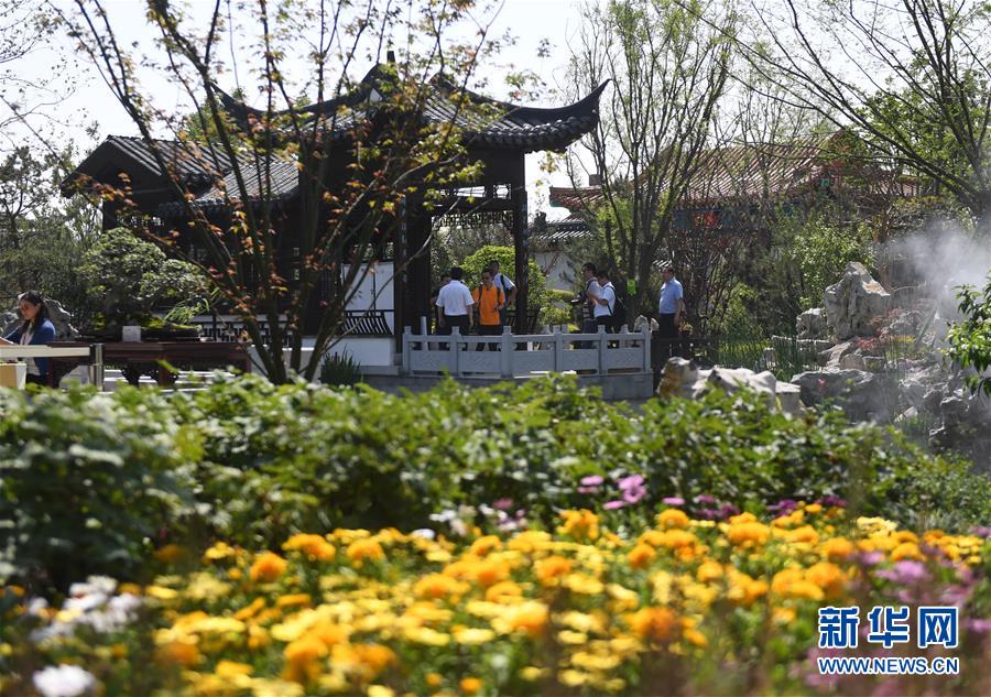 （新華全媒頭條·圖文互動）（2）天人合一、咫尺乾坤：蘇州園林的東方魅力