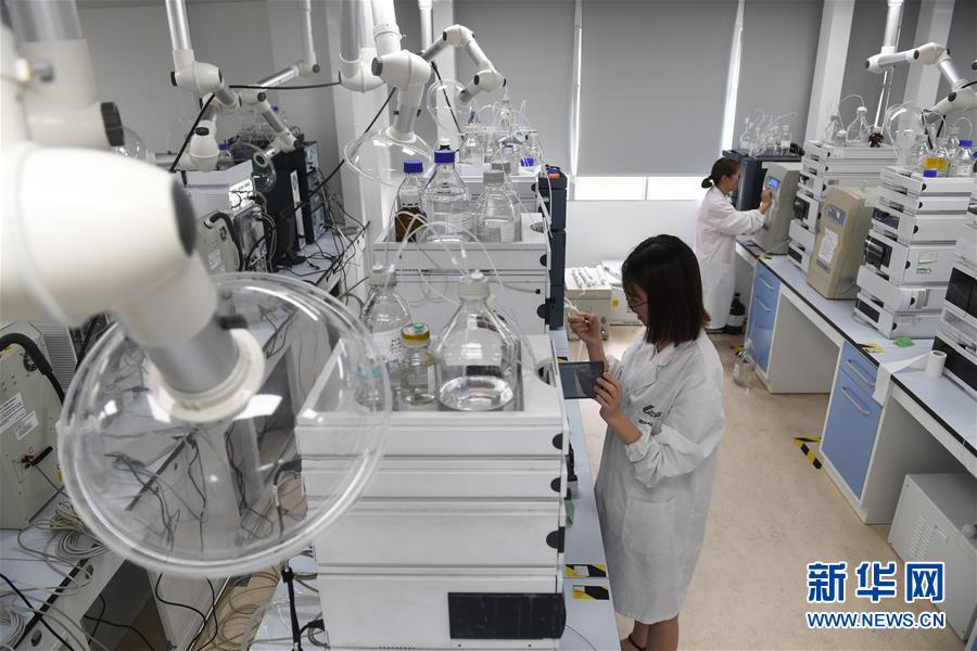 （新華全媒頭條&middot;中國經(jīng)濟(jì)基層行&middot;圖文互動）（6）看！這就是中國經(jīng)濟(jì)的信心&mdash;&mdash;當(dāng)前中國經(jīng)濟(jì)觀察之一