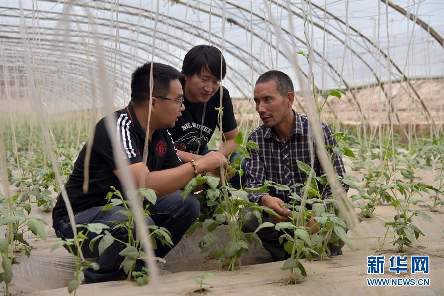（新華全媒頭條&middot;圖文互動）（10）同心援疆，&ldquo;壯闊&rdquo;祖國西北角
