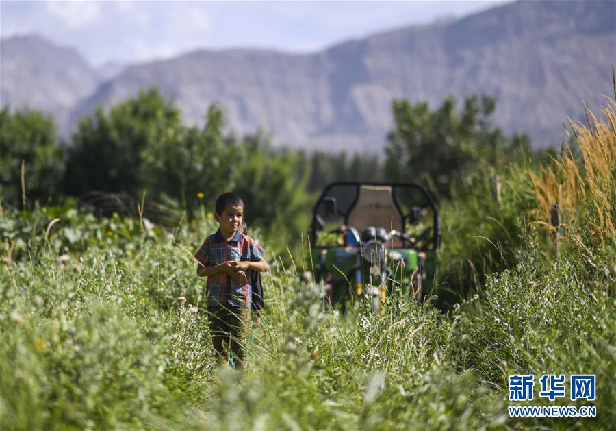 （決戰決勝脫貧攻堅&middot;圖文互動）（5）記者手記：尋訪昆侖&ldquo;桃花源&rdquo;的&ldquo;祛病&rdquo;良方
