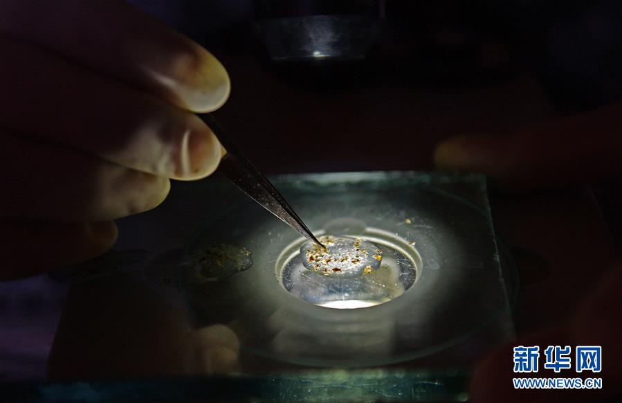 （紅土地&ldquo;往事新說&rdquo;&middot;圖文互動）（1）昔日送&ldquo;瘟神&rdquo;  今朝健康促小康