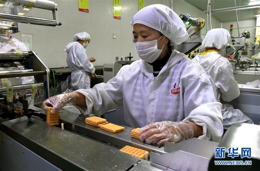 (新華全媒頭條·圖文互動)(13)大國糧倉的新時代交響——河南農業70年觀察