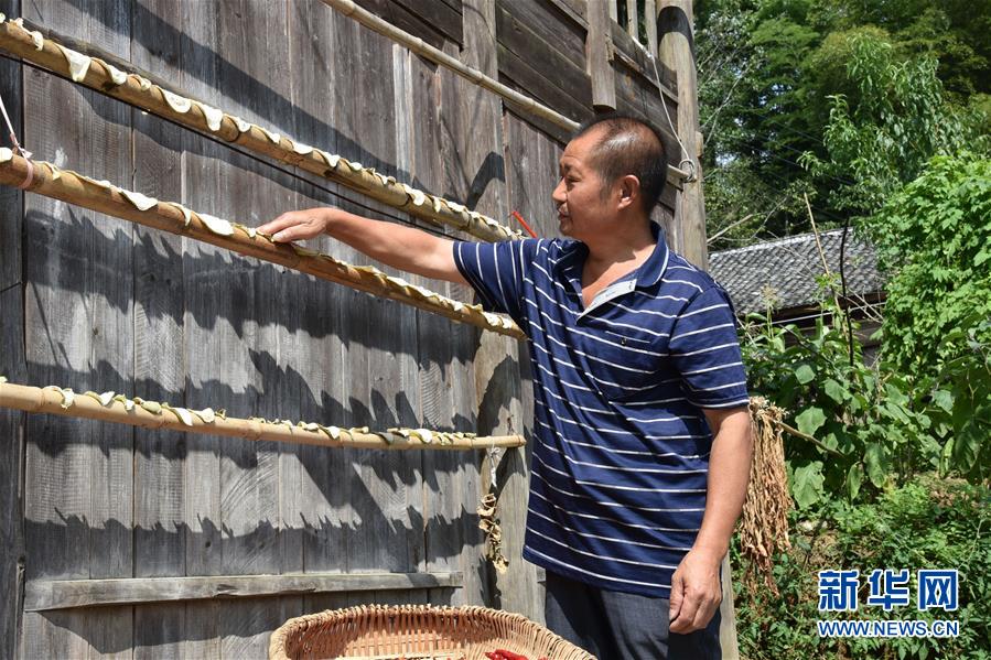 (愛(ài)國(guó)情 奮斗者·圖文互動(dòng))(2)貴州印江高石坎護(hù)林隊(duì):半輩子,以林場(chǎng)為家