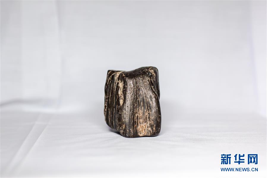 (圖文互動(dòng))(5)黑龍江海倫發(fā)現(xiàn)罕見(jiàn)古生物群