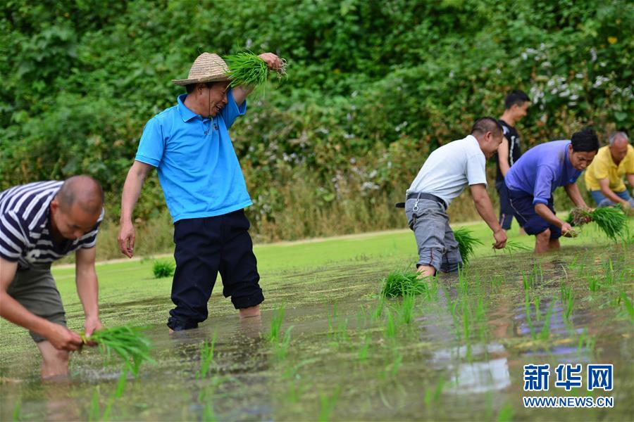 （新華全媒頭條·圖文互動）（8）干部去哪兒了？——貴州干部大規模下沉脫貧攻堅一線紀實