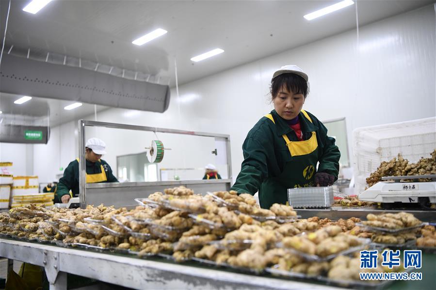 （在習(xí)近平新時代中國特色社會主義思想指引下——新時代新作為新篇章·總書記關(guān)切高質(zhì)量發(fā)展·圖文互動）（3）穩(wěn)住“一頭豬”、供好“一袋米”、配好“一籃菜