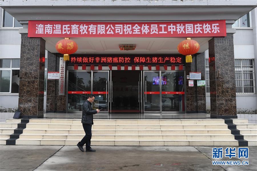 （在習(xí)近平新時代中國特色社會主義思想指引下——新時代新作為新篇章·總書記關(guān)切高質(zhì)量發(fā)展·圖文互動）（1）穩(wěn)住“一頭豬”、供好“一袋米”、配好“一籃菜