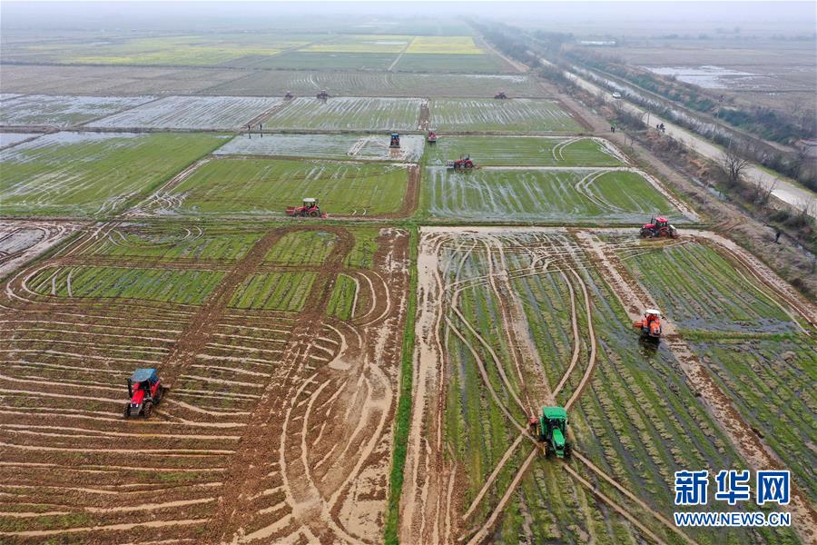 （抓好春耕備耕 穩(wěn)住農(nóng)業(yè)生產(chǎn)·圖文互動(dòng)）（2）智能農(nóng)機(jī)、“訂單”服務(wù)、“云端”種菜——來自江西的春耕“新事”