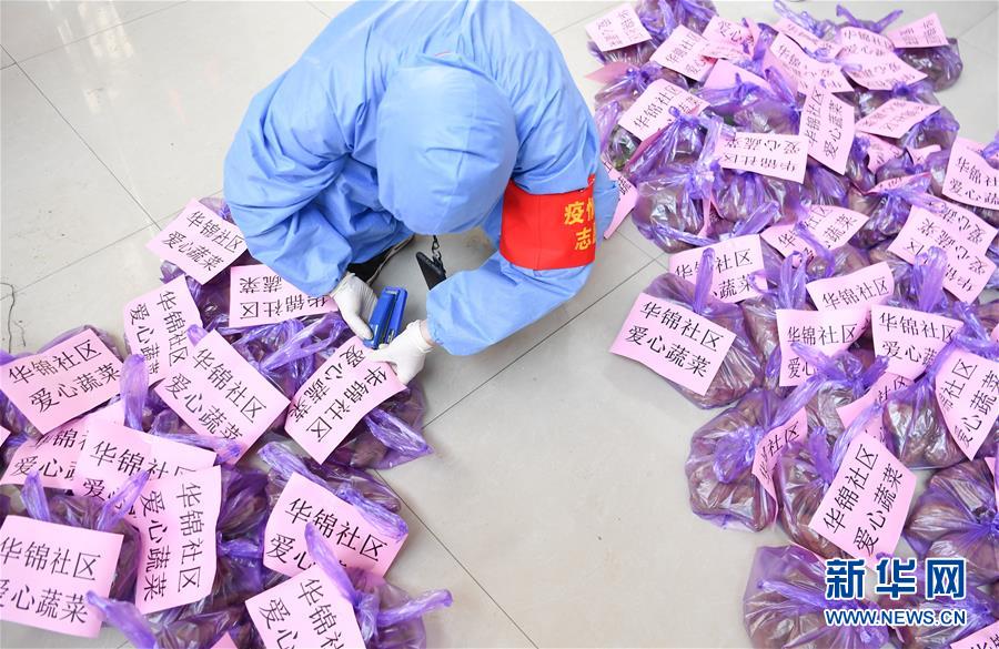 （習近平致敬的戰“疫”英雄·志愿者篇·圖文互動）（11）他們，微光成炬照征程
