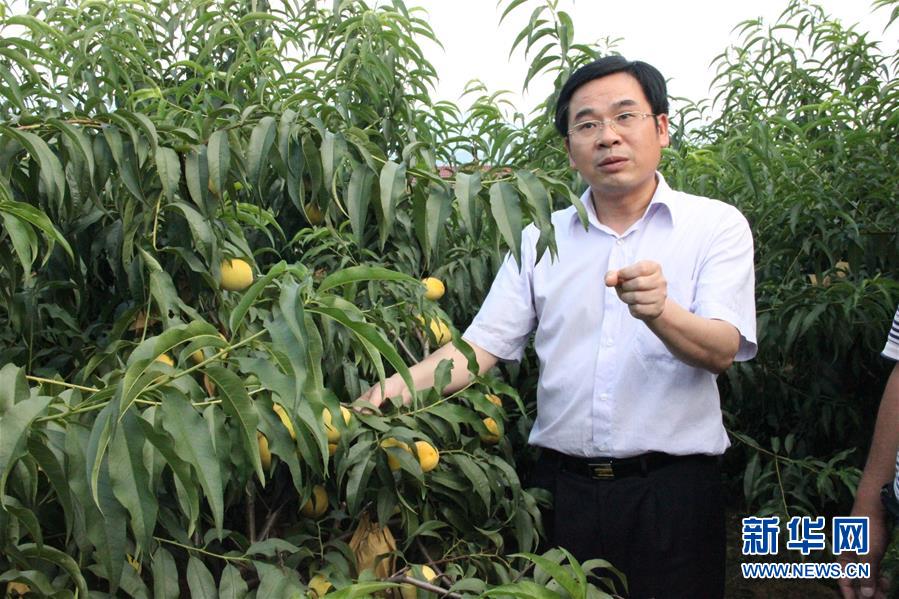 （圖文互動(dòng)）（2）“為脫貧而來，為脫貧而去”——追記湖南炎陵縣委原書記黃詩燕 