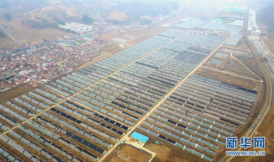 (新華全媒頭條·圖文互動)(5)且看信心如何讓黃土變成金——“環京津貧困帶”整體脫貧記