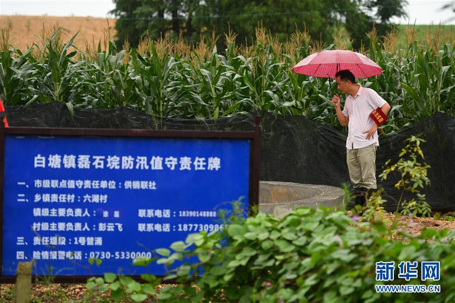 (防汛抗洪·圖文互動)(1)“險情不可怕,可怕的是不能及時發現險情”——洞庭湖巡堤查險現場直擊