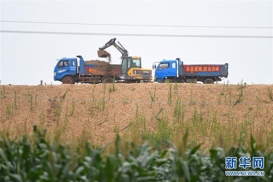 (防汛抗洪·圖文互動)(4)“險情不可怕,可怕的是不能及時發現險情”——洞庭湖巡堤查險現場直擊