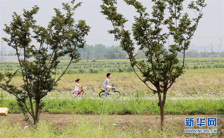 （新華全媒頭條·走向我們的小康生活·圖文互動）（14）城市，讓人民生活更美好