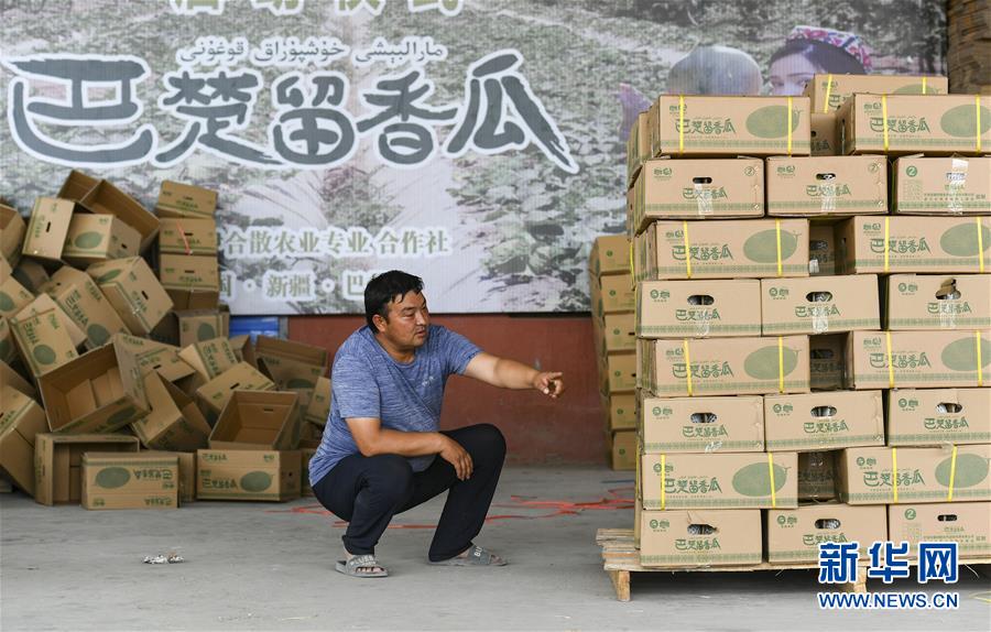 (決戰(zhàn)決勝脫貧攻堅·圖文互動)(3)“窮”鄉(xiāng)富戶的販瓜生意經