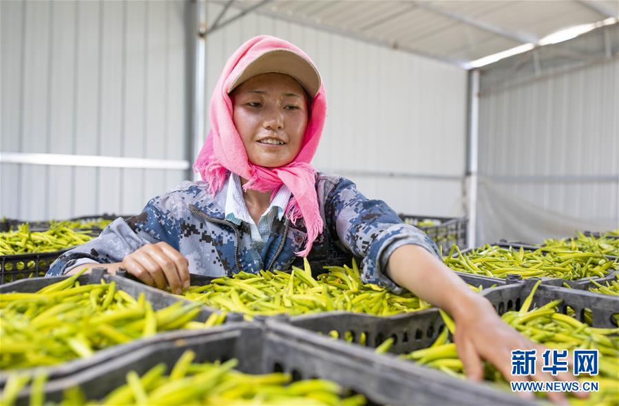 (新華全媒頭條·百萬大移民·圖文互動)(9)從大山深處到大河之畔——寧夏持續移民百萬“拔窮根”啟示