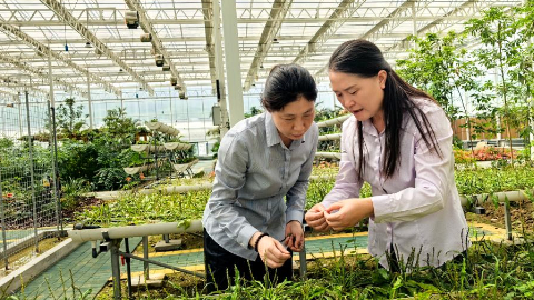 囑托丨生態守護者的綠色畫卷