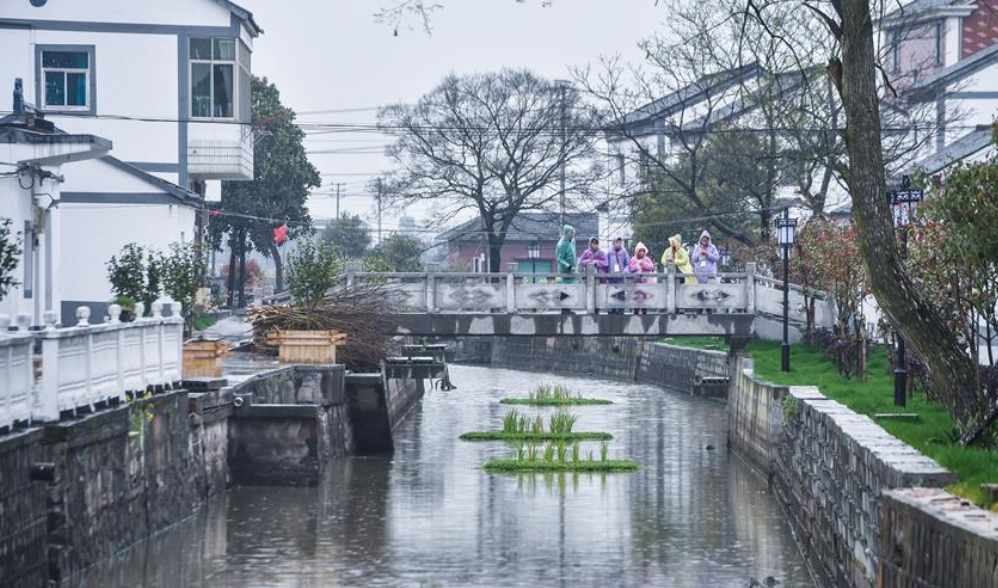 &ldquo;小小河長&rdquo;護綠治水保環境