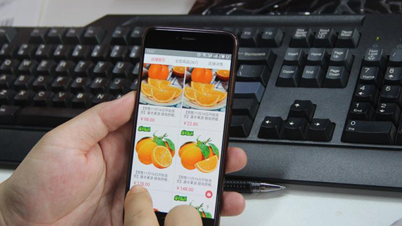 臍橙&ldquo;三變&rdquo;見證40年變遷