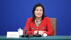 全國政協(xié)委員、全國工商聯(lián)執(zhí)行委員會(huì)常委、藍(lán)思科技股份有限公司董事長 周群飛