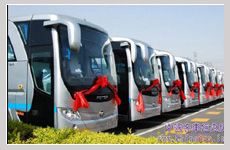 旅行社能為經濟發(fā)展做什么?