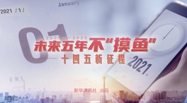 未來五年，不“摸魚”