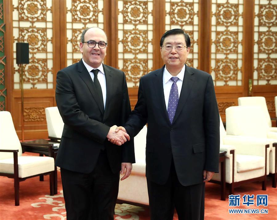 12月20日，全國人大常委會委員長張德江在北京人民大會堂會見摩洛哥參議長本希馬。新華社記者劉衛(wèi)兵攝